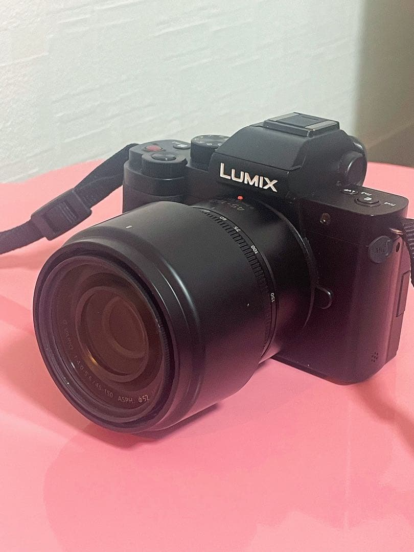 Panasonic LUMIX G100 DC-G100 ダブルズームキット
