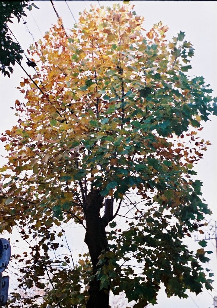 OLYMPUS オリンパス PEN-FT シルバー ボディ