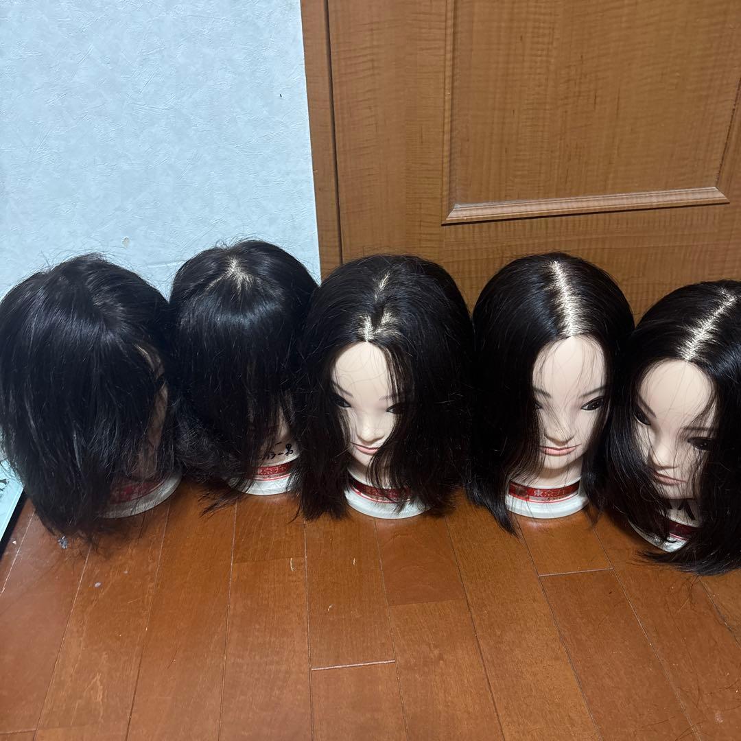 [値下げ本日２４時まで] 人毛ウィッグ5体セット 東京チャーム カット練習用