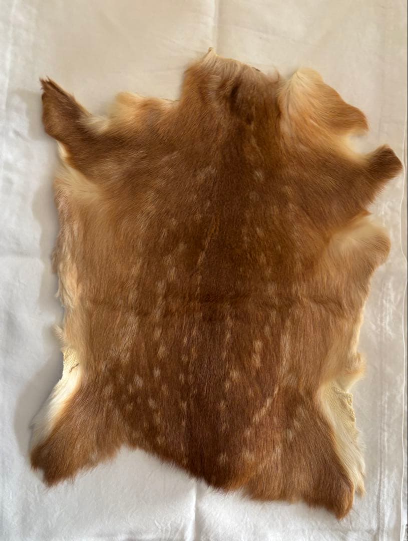 端午の節句用　兜