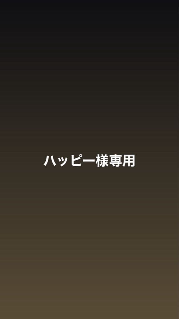 マルチフォルケッタ2