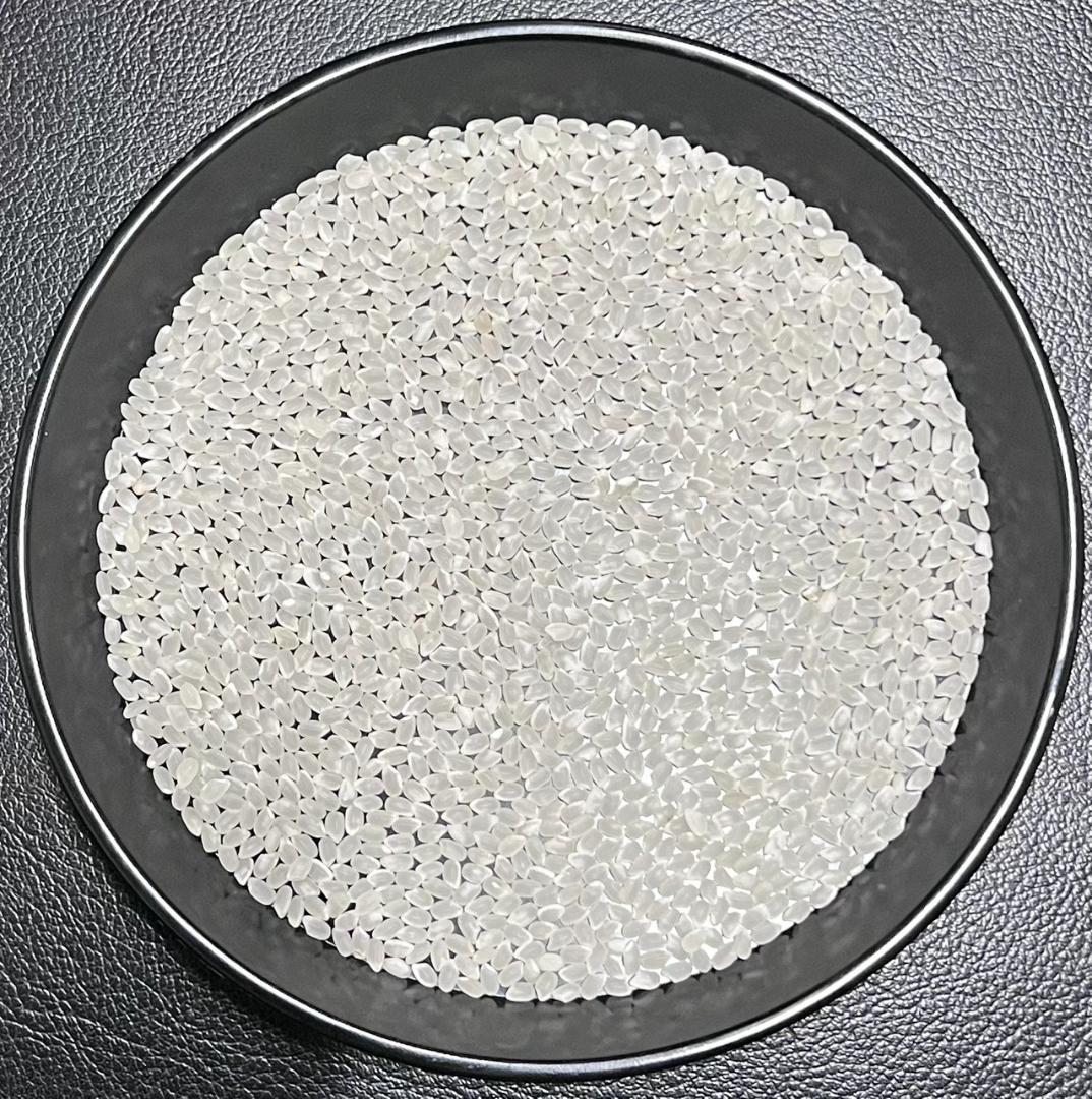 一等検査 特別栽培米 令和7年産 京都 丹後 コシヒカリ 白米 約 27kg3袋