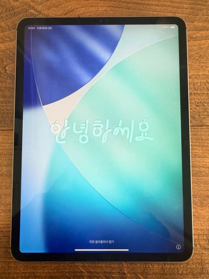 iPad pro 11インチ 64GB 2018年 Apple Pencil付き