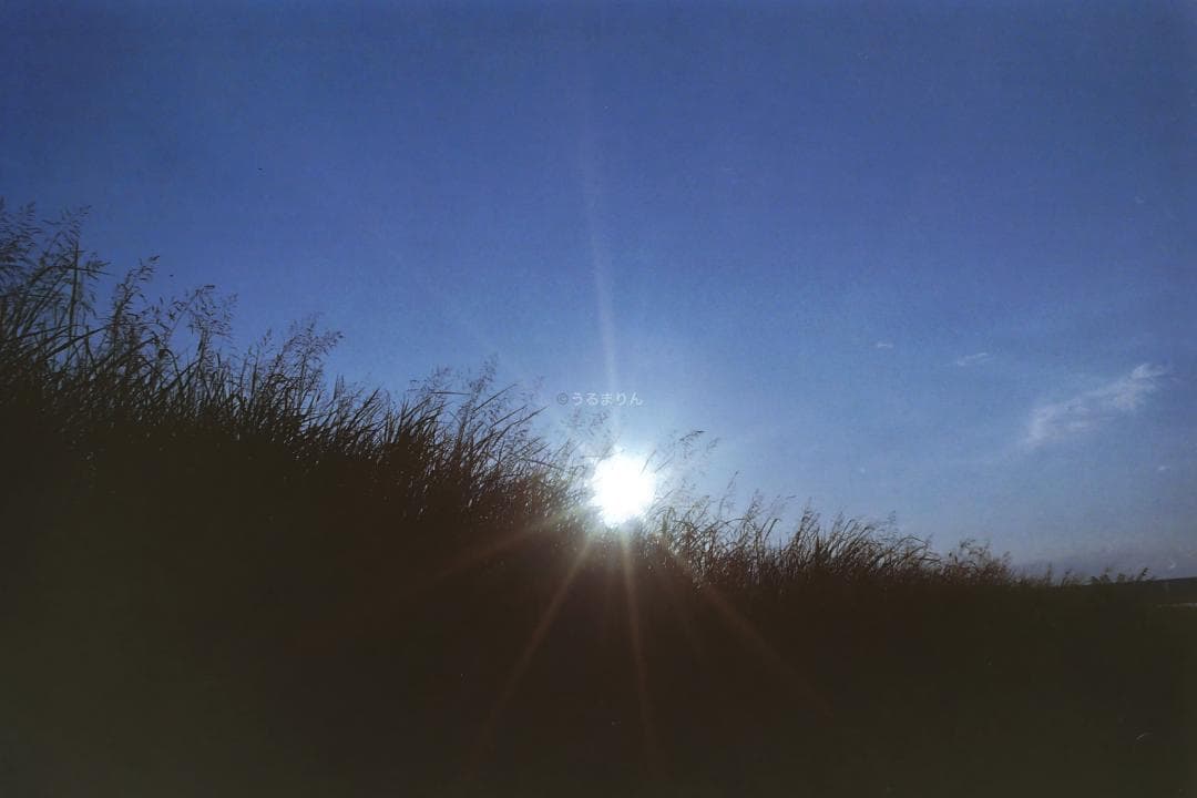 広角の鉄板 Leica Summaron 35mm F3.5 オールドレンズ