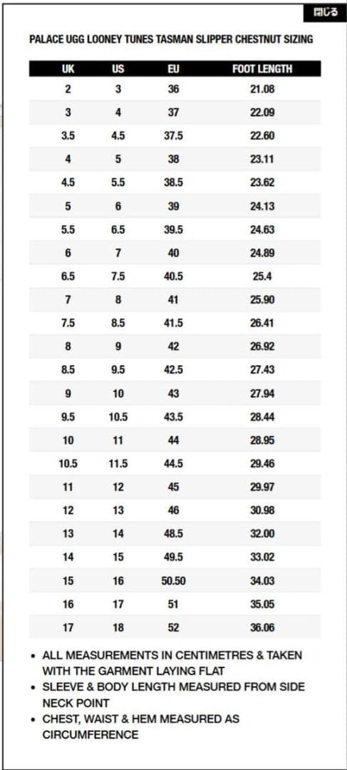 靴 PALACE UGG LOONEY TUNES TASMAN US9