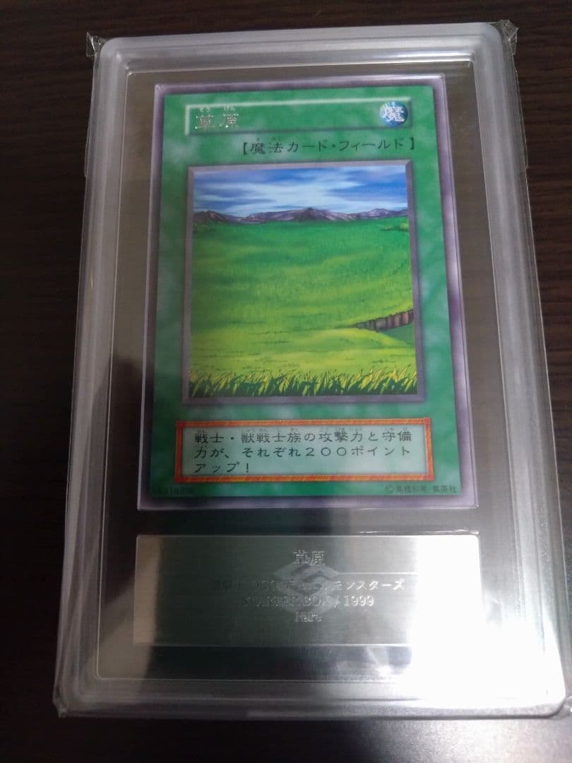 ARS10　山　森　海　闇　草原　荒野　初期　スターターボックス　遊戯王