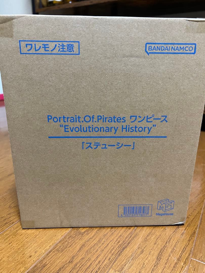 POPワンピース “Evolutionary History\
