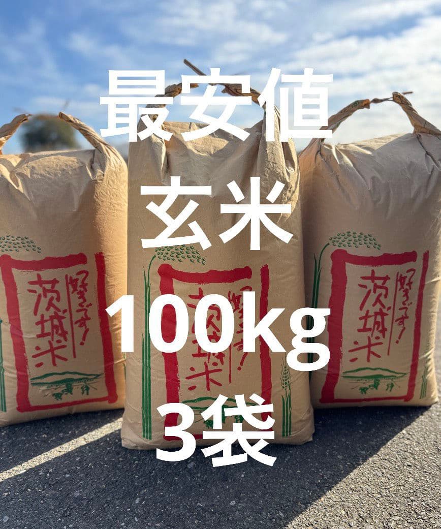 限定　最安値　玄米　100kg　30kg米袋に3袋（100kg詰め）　お米