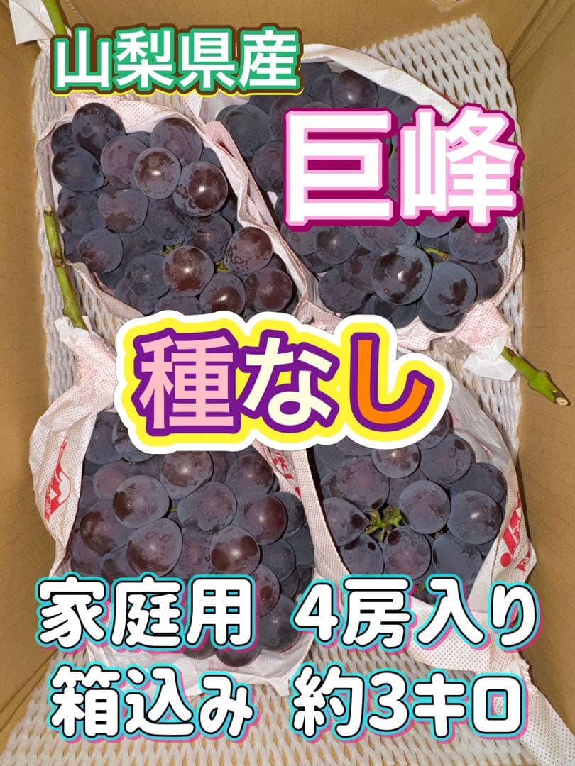 ERICA⭐️JA共選品シャインマスカット 種なし巨峰セット