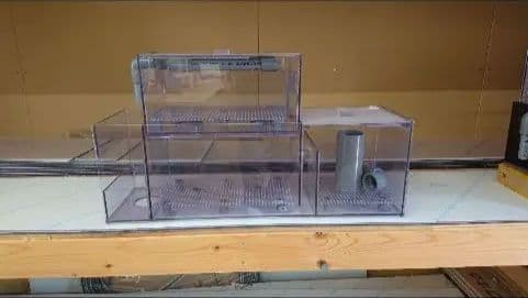 ゆっきー　60アクリル水槽用　2層式　熊本県送料込
