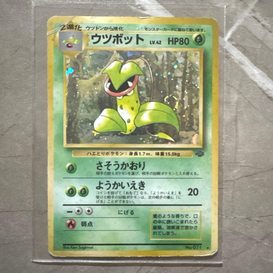 わるいリザードン フシギバナ ブイズ他 15枚セット