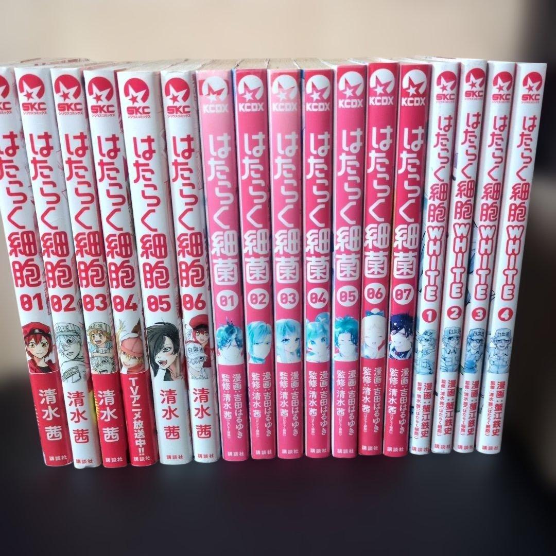 Bちゃん はたらく細胞 シリーズ 全17冊＋見える子ちゃん まとめ売り