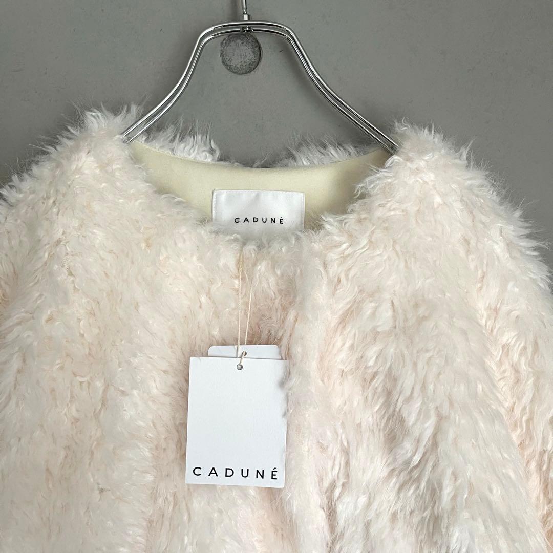 新品タグ付き⭐︎CADUNE カデュネ　ボアブルゾン　川上桃子　ファー　36