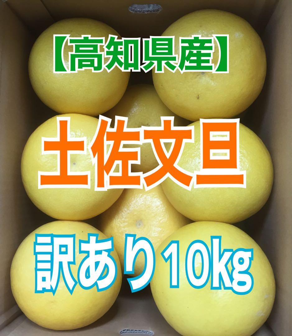 takachocono1ページ ☆文旦【高知県産】家庭用中玉10kg×2箱