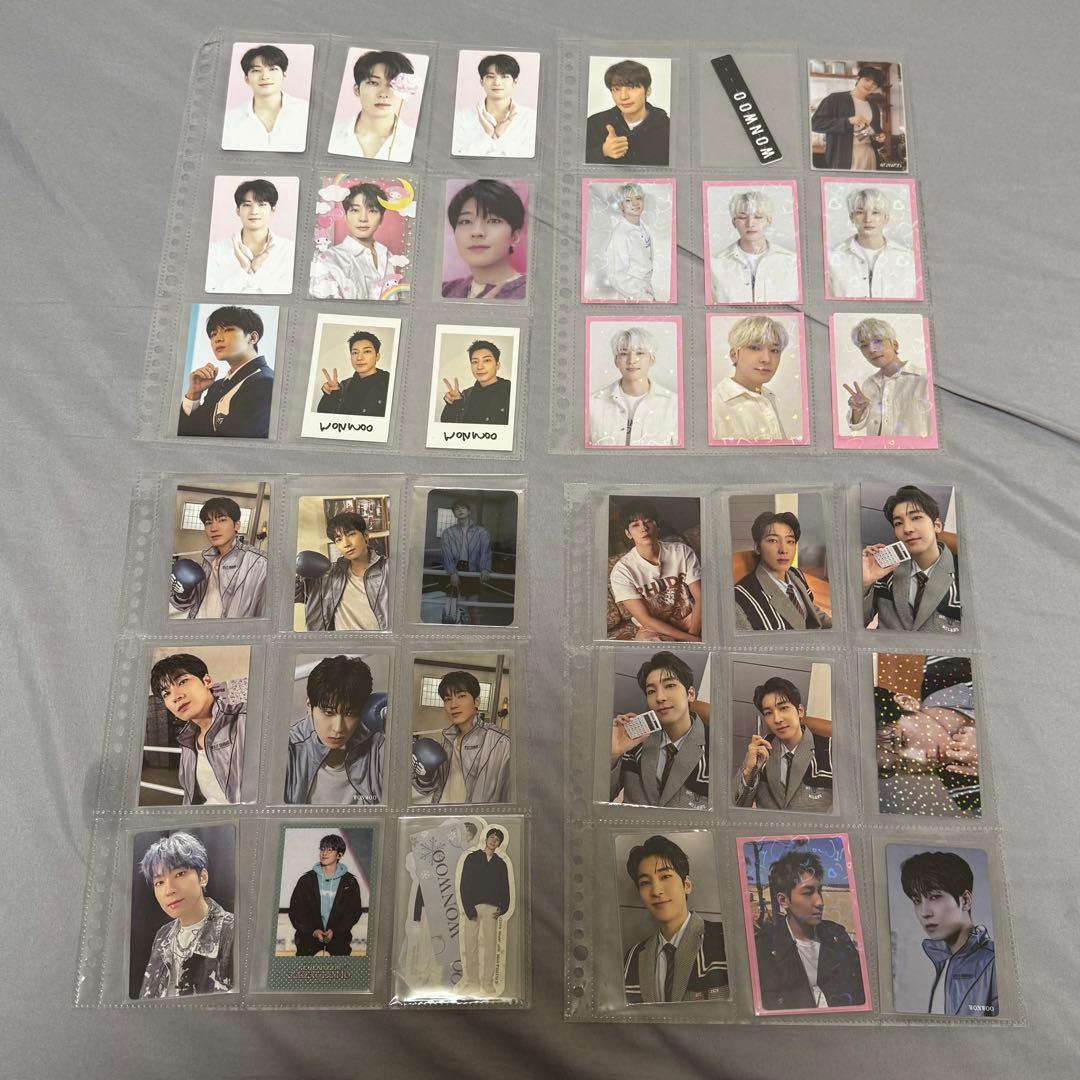 SEVENTEEN ウォヌ　トレカ　グッズ　まとめ売り