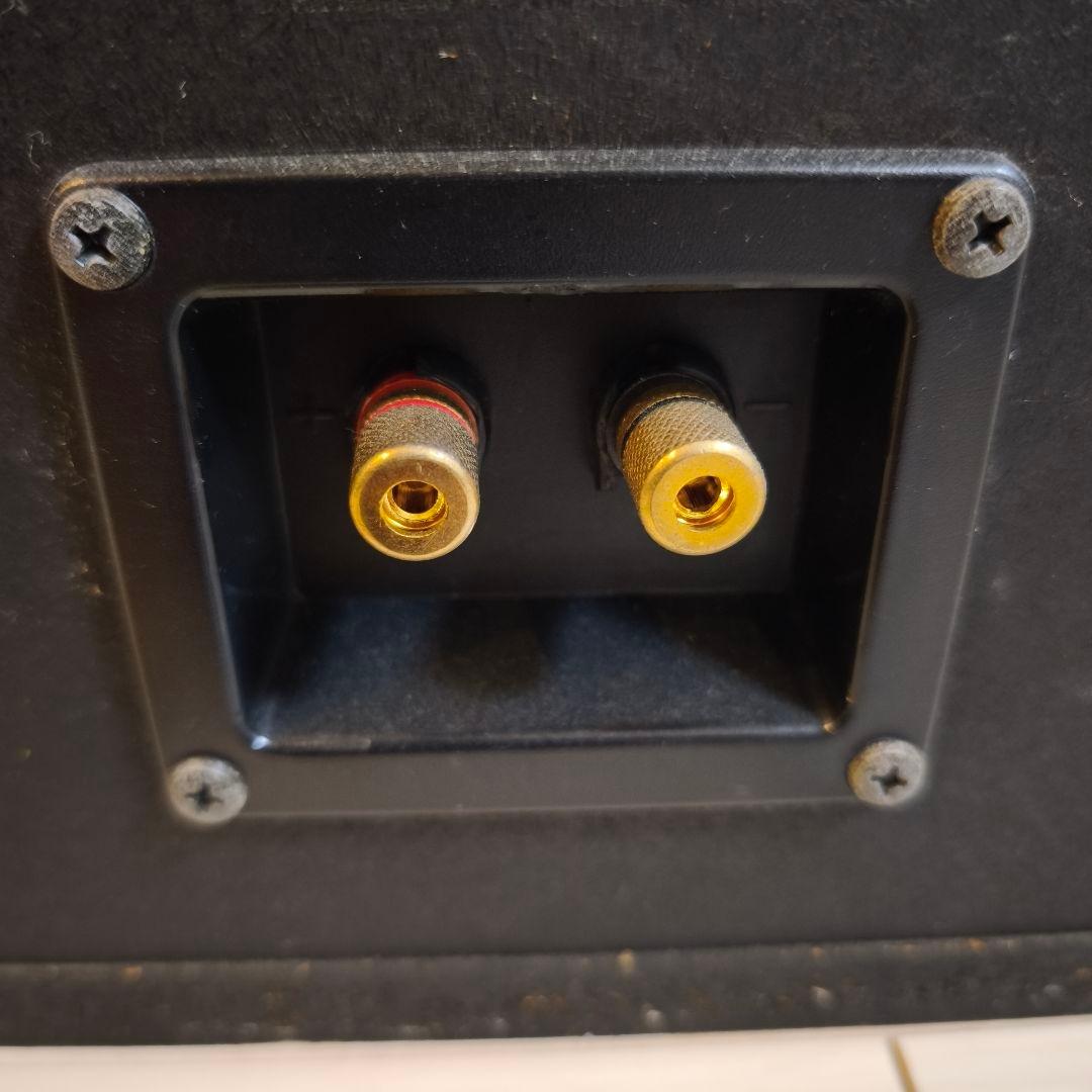 DIATONE DS-G20 ユニット ＋ DS-300V エンクロージャー