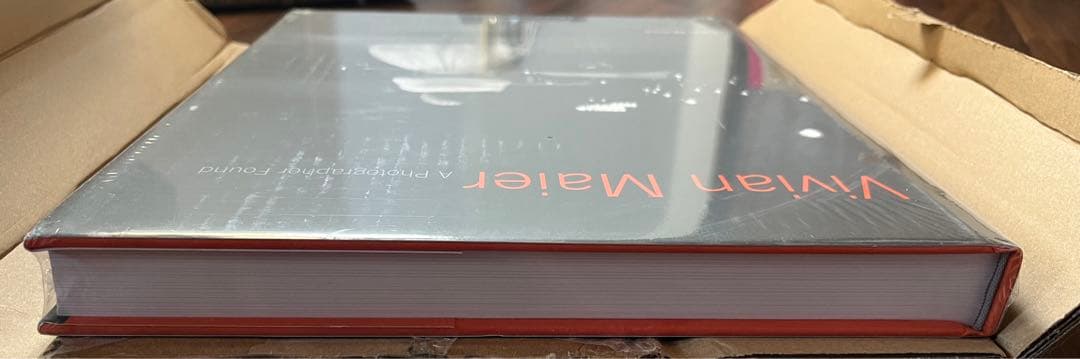 希少品‼️Vivian Maier: A Photographer Found