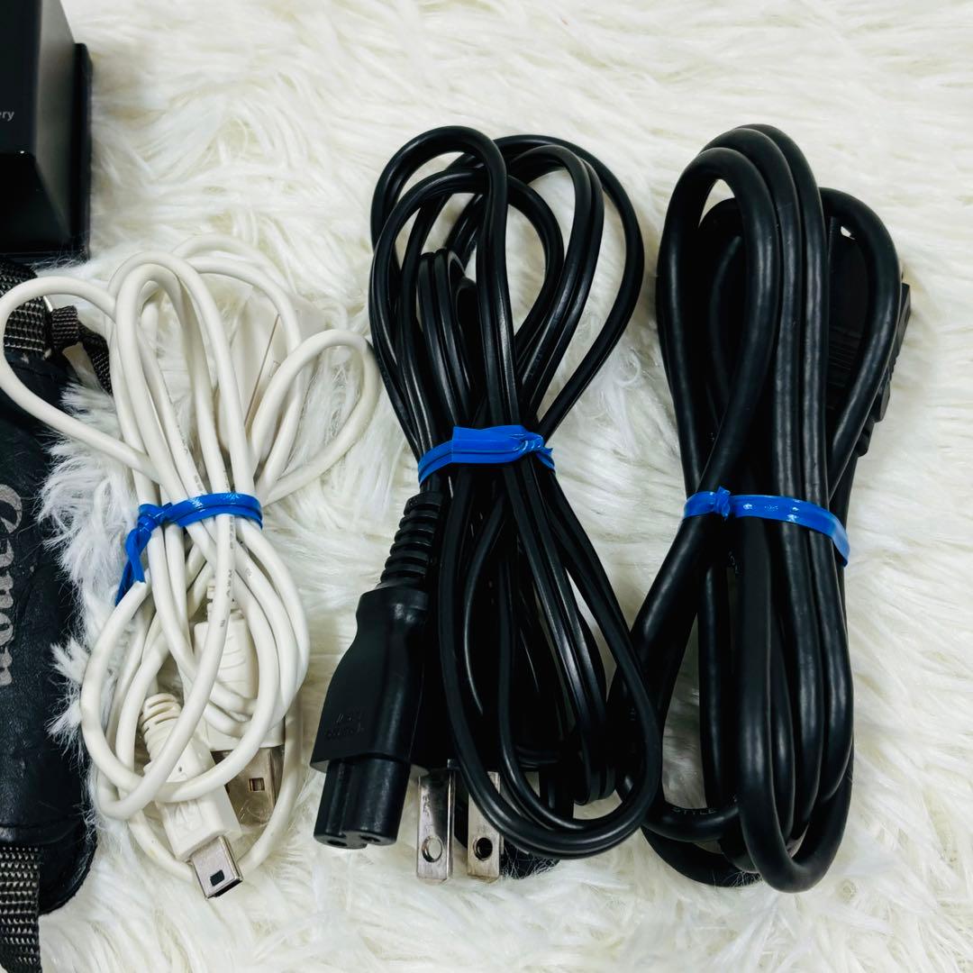 Canon iVIS HF20 ビデオカメラ 本体