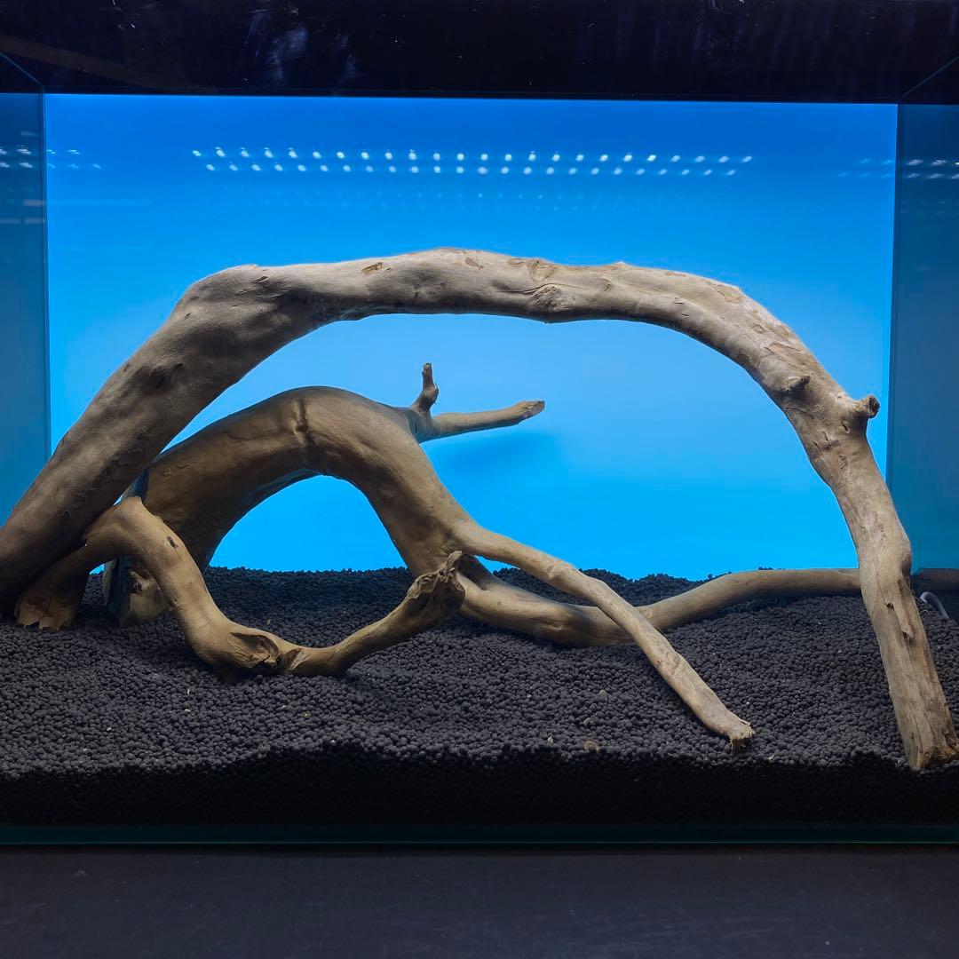 MDW-6763 ブランチウッドレイアウトセット　流木　枝流木　アクアリウム