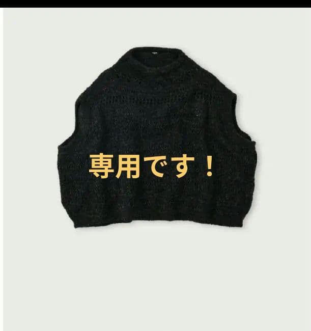 専用です！45R45rpm　シェットランドレースのショート馬ベスト