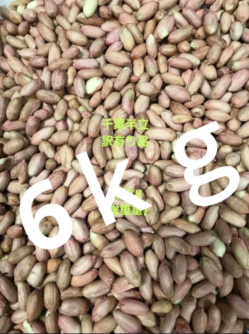 農家直送千葉生落花生訳あり品6ｋｇ