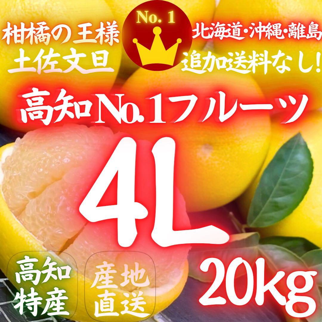 ㉑高知特産 露地栽培 土佐文旦 4L限定 文旦 約20kg 大玉 サイズ