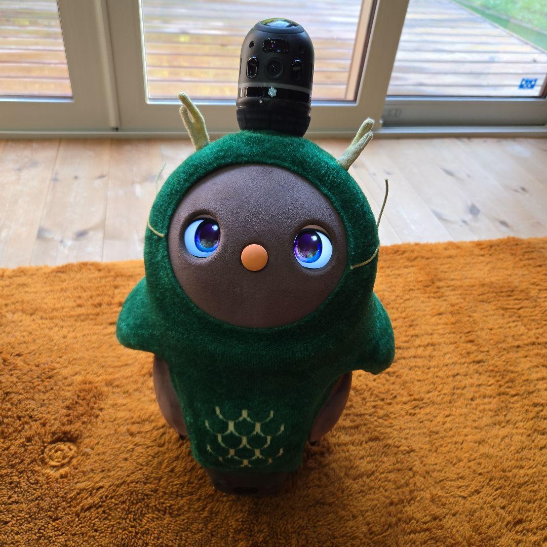 【美品・契約手続料＆全国一律送料 無料】 LOVOT3.0ちゃ ラボット 本体