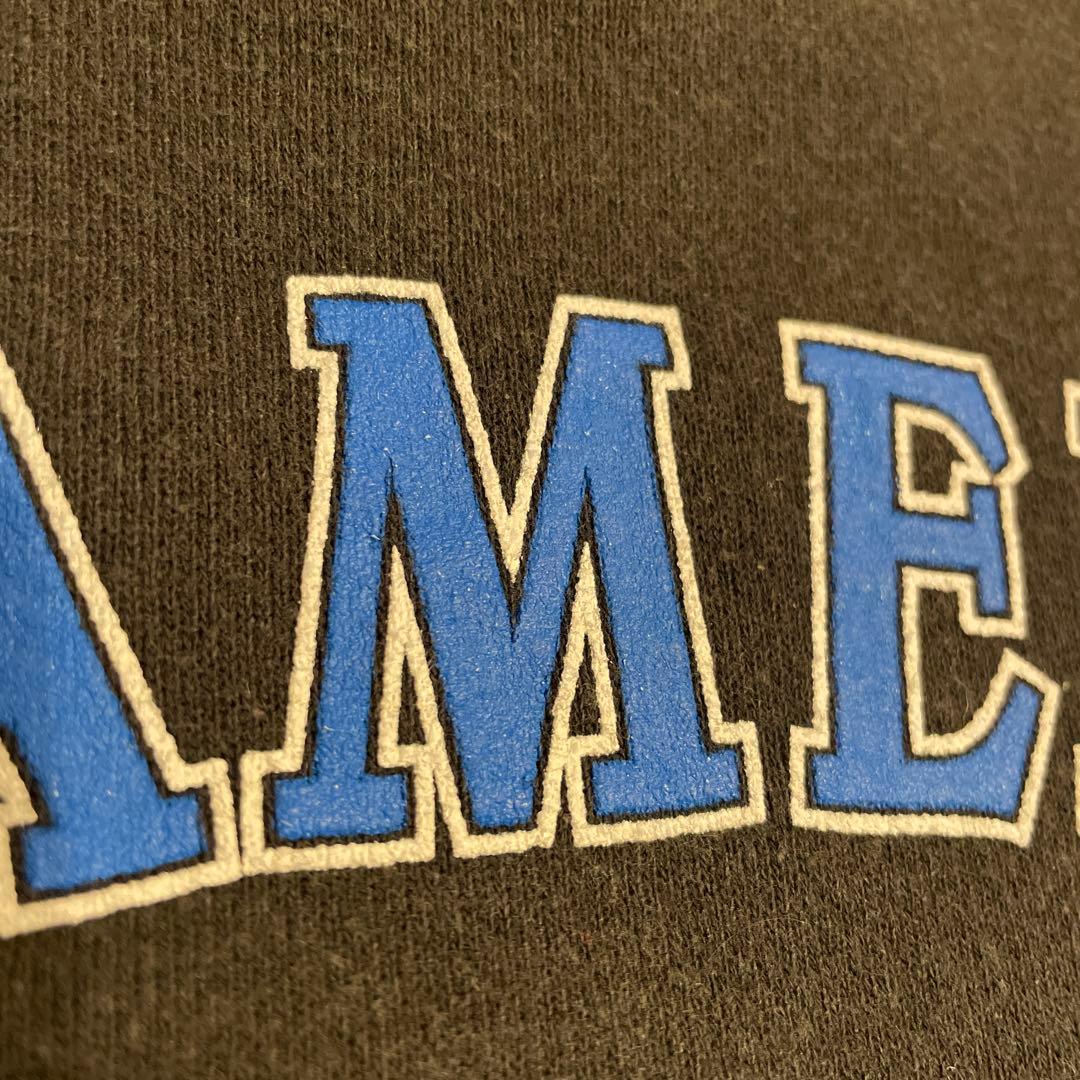 ハーレーダビッドソン　スウェット　90s フレイム 炎　ビンテージ