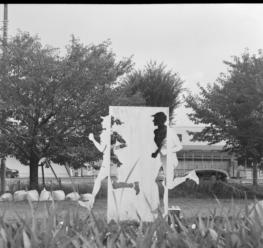 ＜作例あり＞Rolleiflex xenar F3.5 75mm 二眼レフ