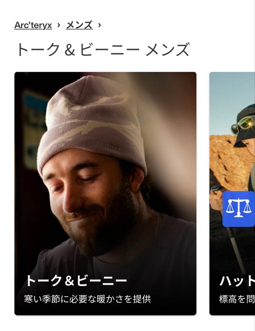 Arc'teryx グロットトーク ビーニーDK ALPINE ROSE