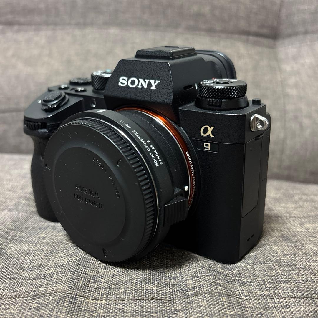 SONY α9 （ILCE-9+シグマmc-11）