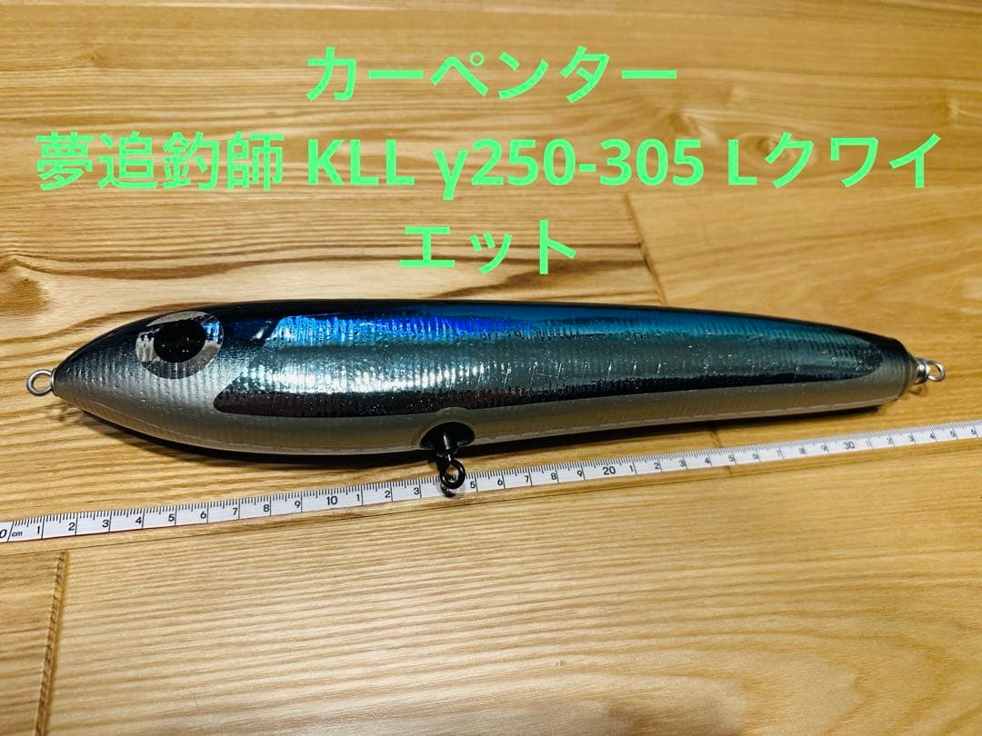 大値下げ！④カーペンター夢追釣師 KLL γ250-305 Lクワイエット