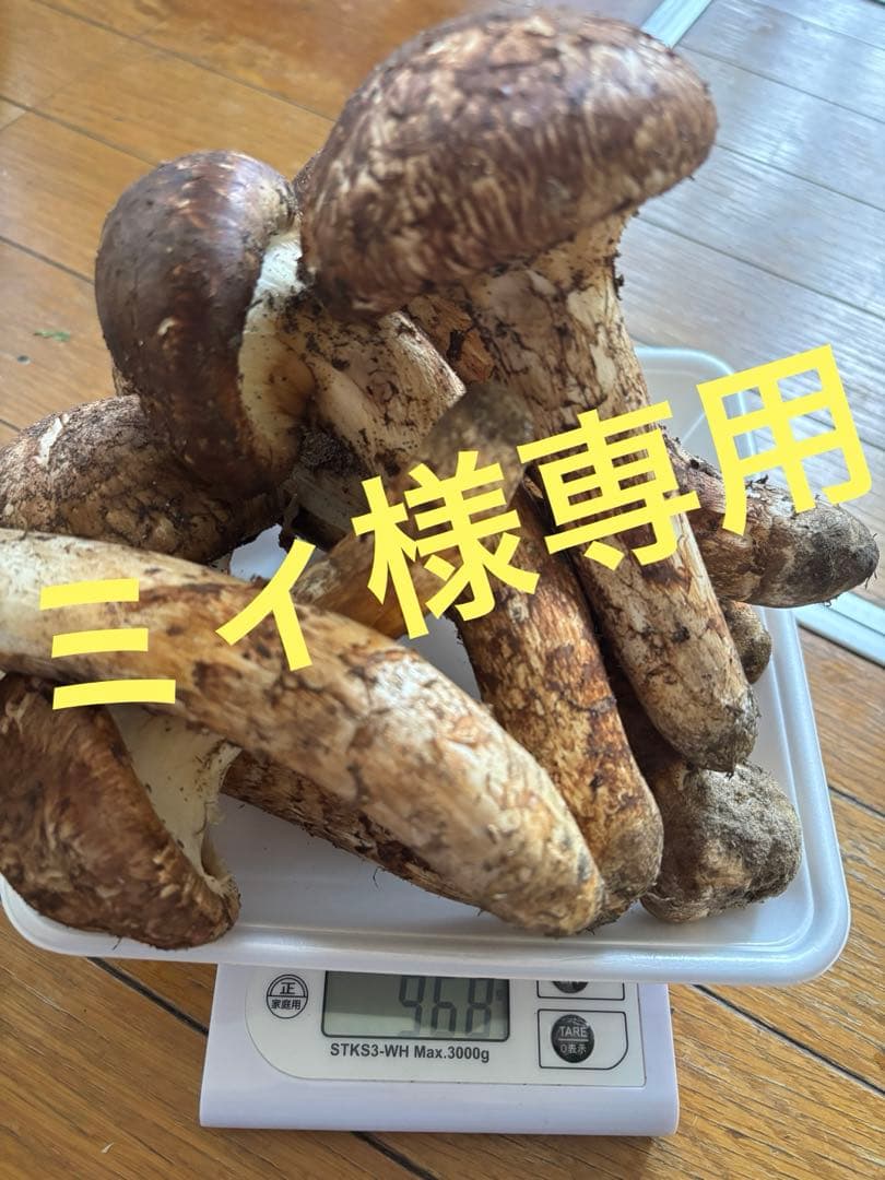 【ミィ】青森県産　松茸　マツタケ　1.8kg