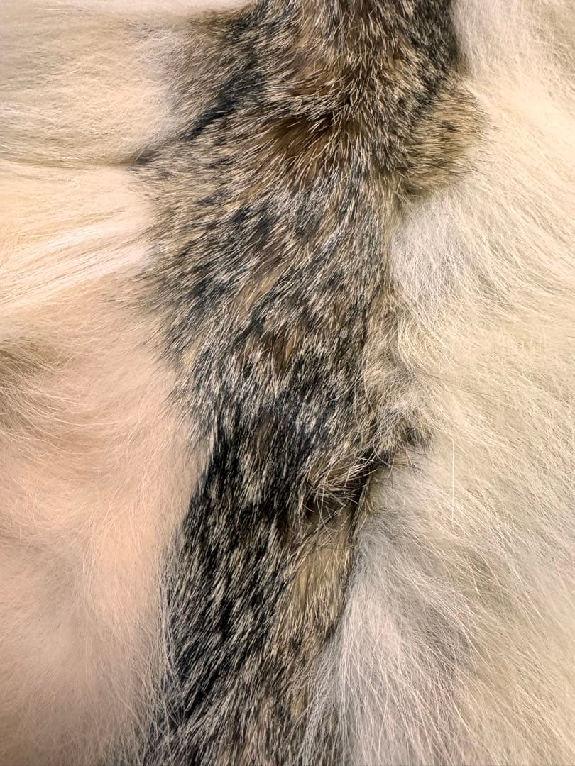 YSL YVES SAINT LAURENT リアルファー　ストール　マフラー