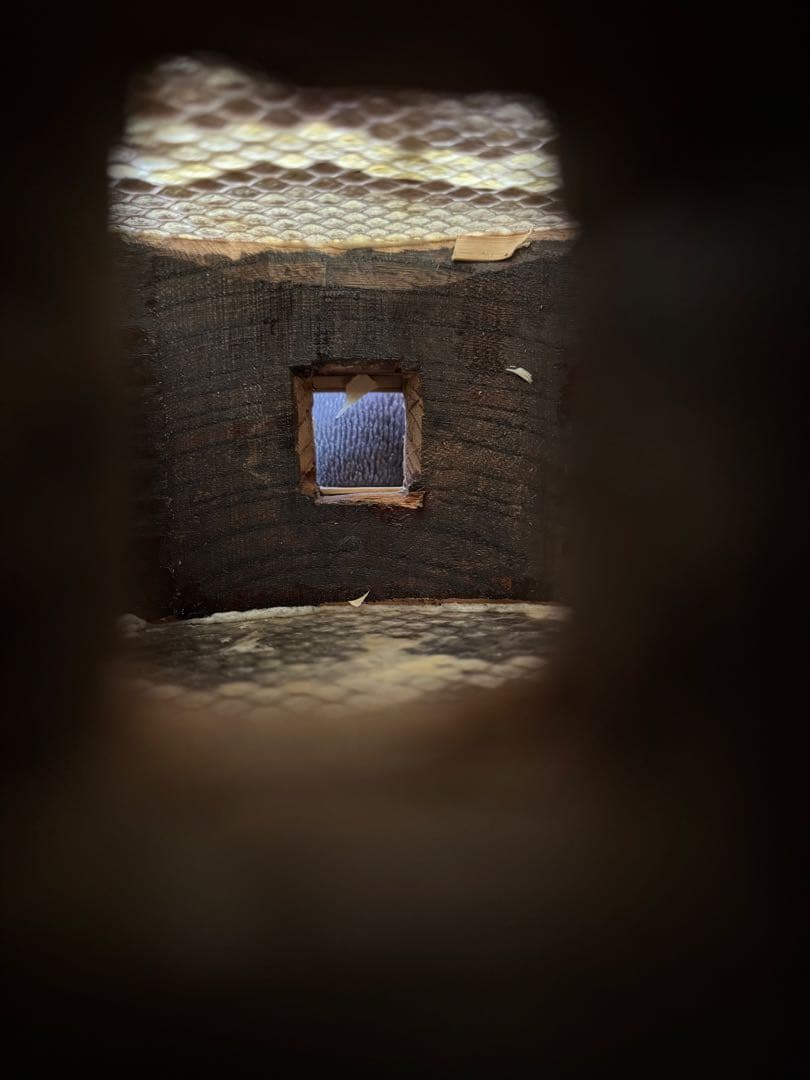 三線 西平開鐘型 佐久本盛信 ハードケース付