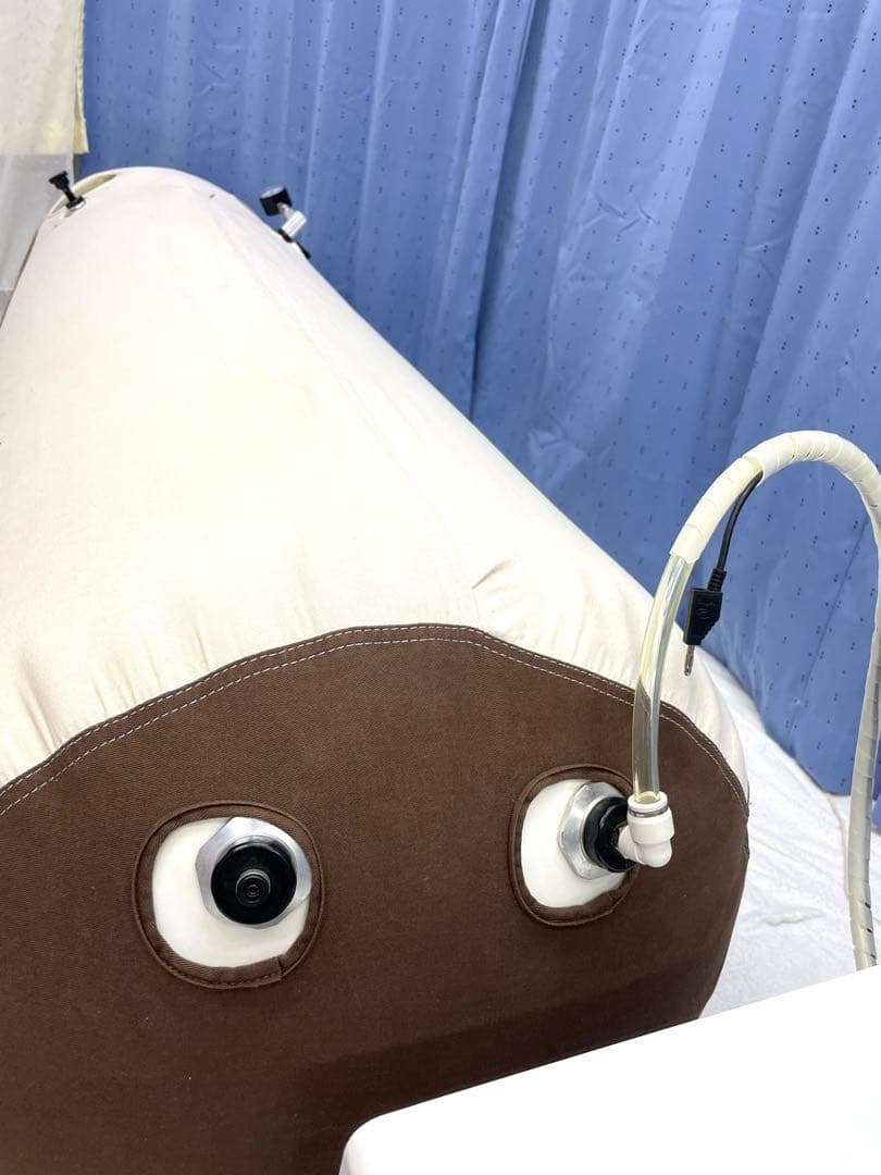 アニオン 02酸素カプセル家庭用