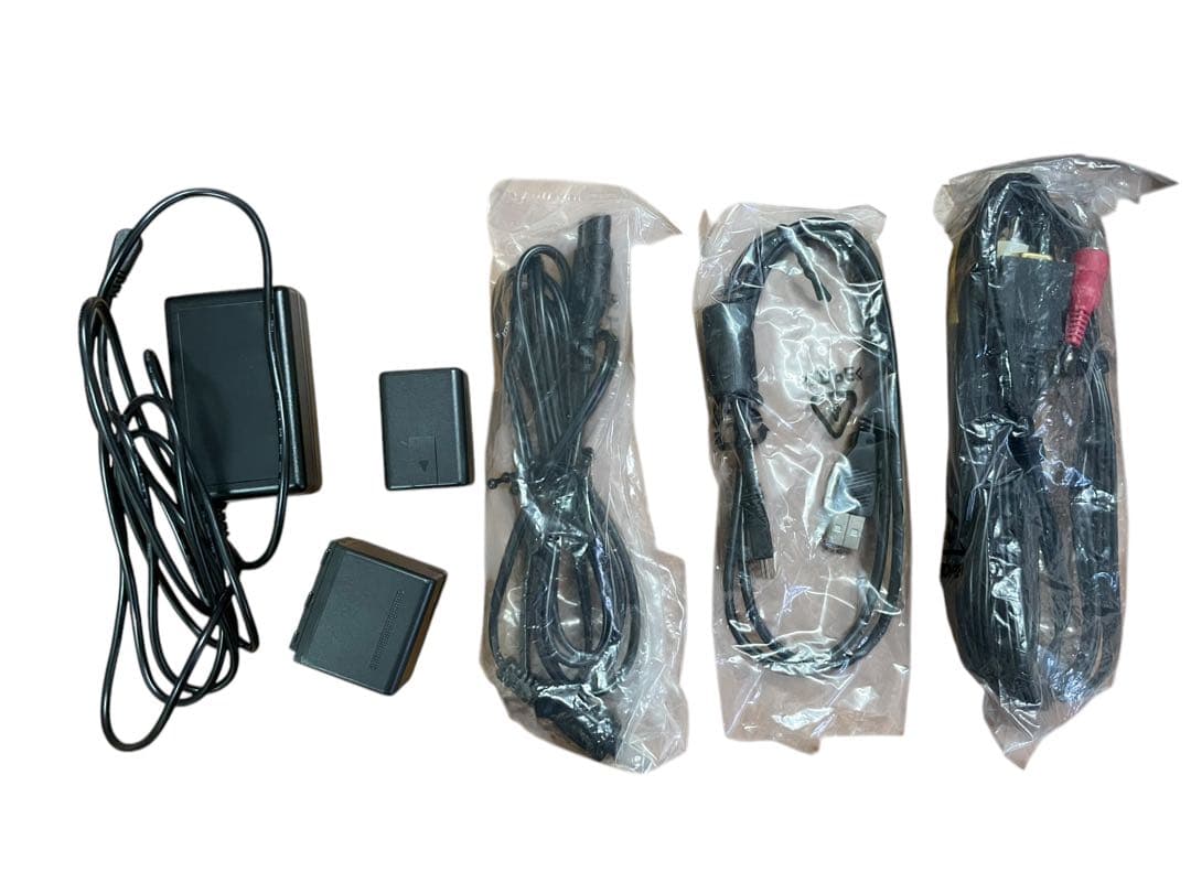 ③ Panasonic HDC-HS60-S ビデオカメラ