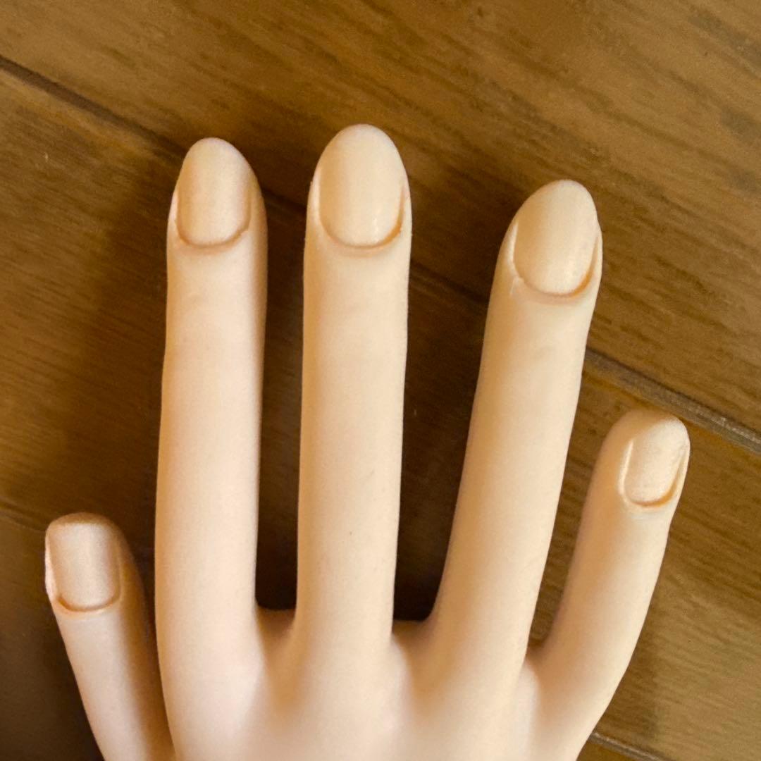 ネイリスト技能検定試験用JNEC認定モデルハンド