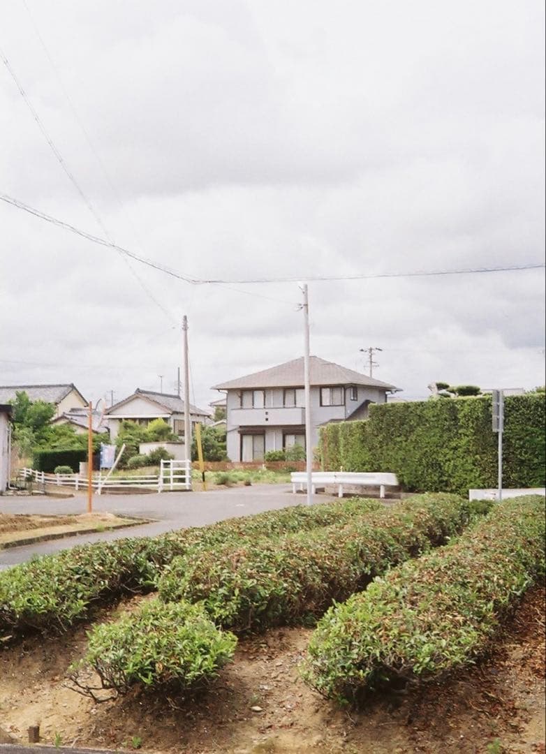 ヤシカ　ハーフ17 作例あり