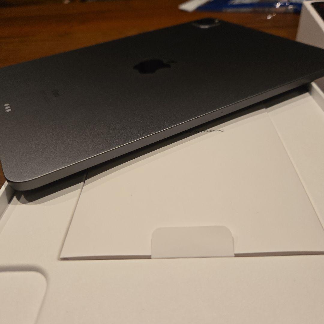 iPadPro11インチ第3世代256GBペン付き充電容量100%ココア！