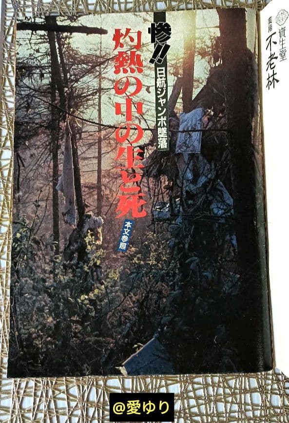 ♦日航ジャンボ機墜落事件❄️関連誌全５冊⭐御巣鷹山⭐事故調⭐ボイスレコーダー