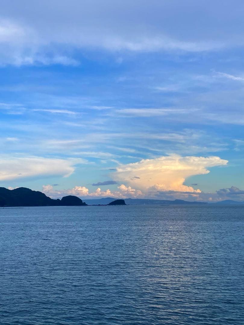 あやたん　ニホンミツバチ　巣蜜　コムハニ　935g