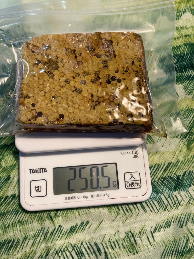 あやたん　ニホンミツバチ　巣蜜　コムハニ　935g