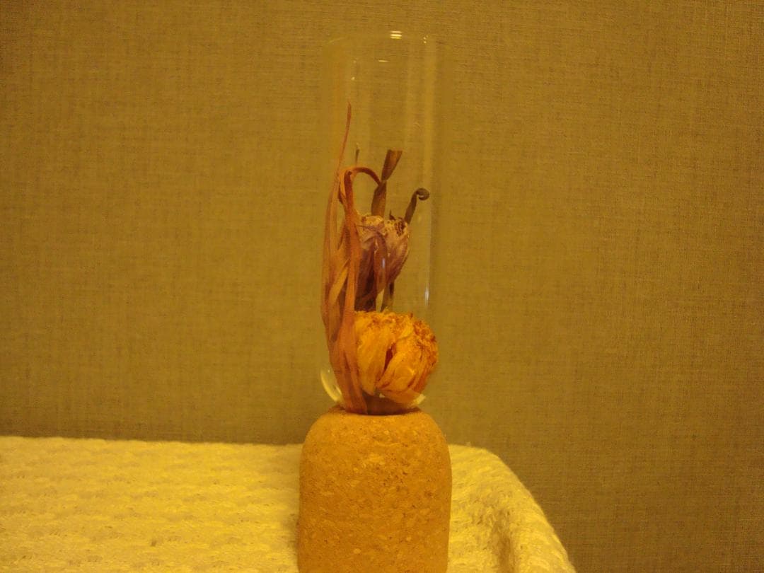 ✨メモリーカード付✨ SONY Cyber-Shot DSC-W110