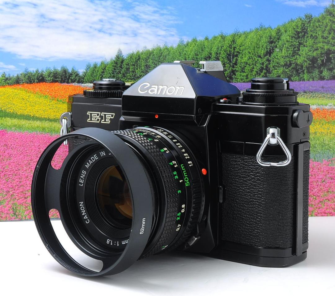 Canon EF + FD50mm F1.8 動作良好 光学クリア キャノン