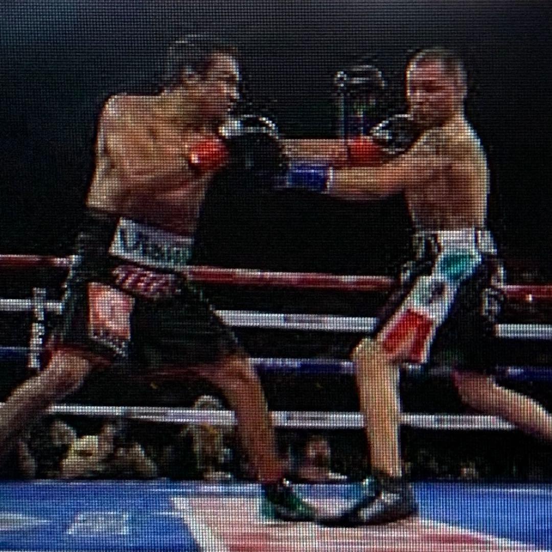 WBOチャンピオンベルト