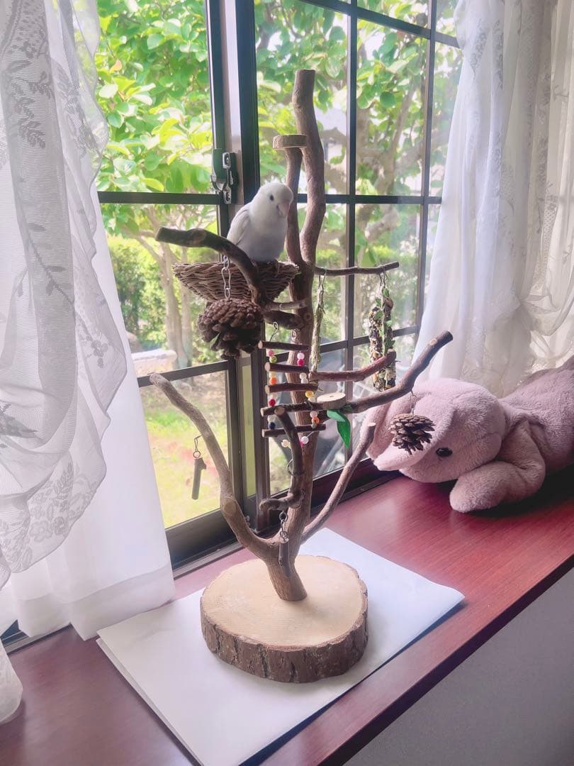 天然木製ツリー型止まり木　高65cm バードアスレチック ジム 小鳥　ブランコ