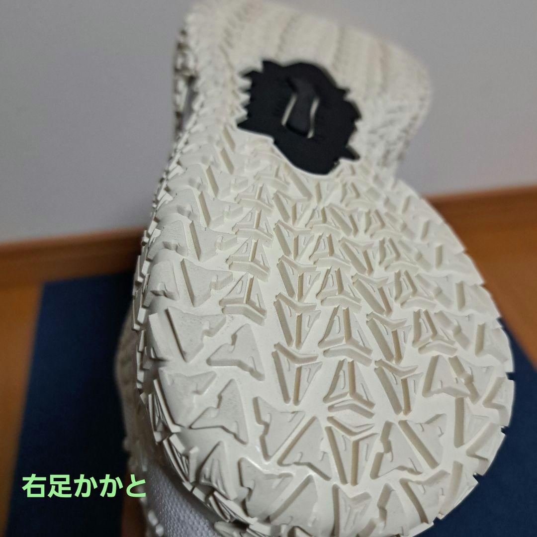 シューズ(男性用) NIKE JA3 EP 28.0cm