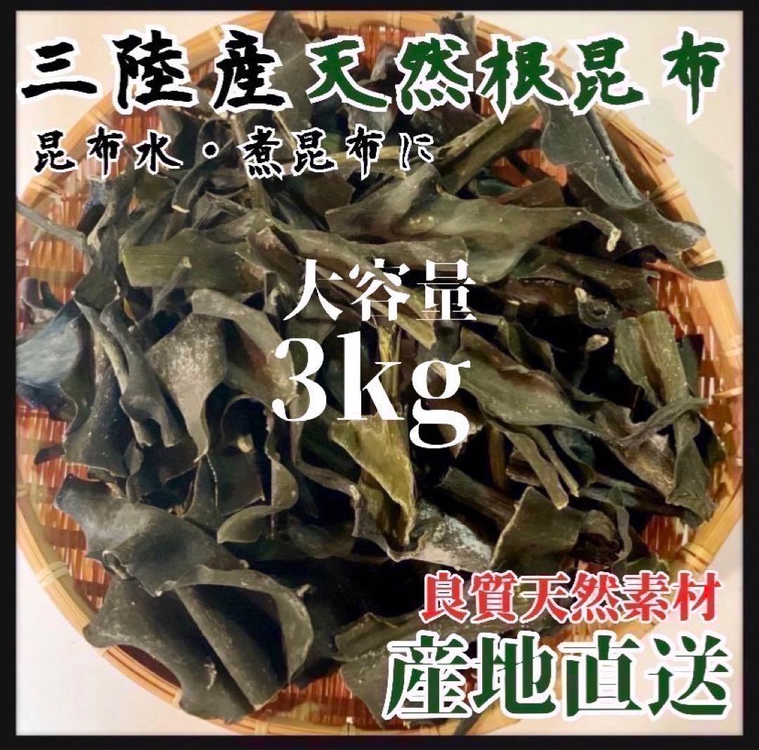 【岩手県産】乾燥根昆布　3kg 粘り強い　昆布茶　希少部位　煮物に最適　昆布