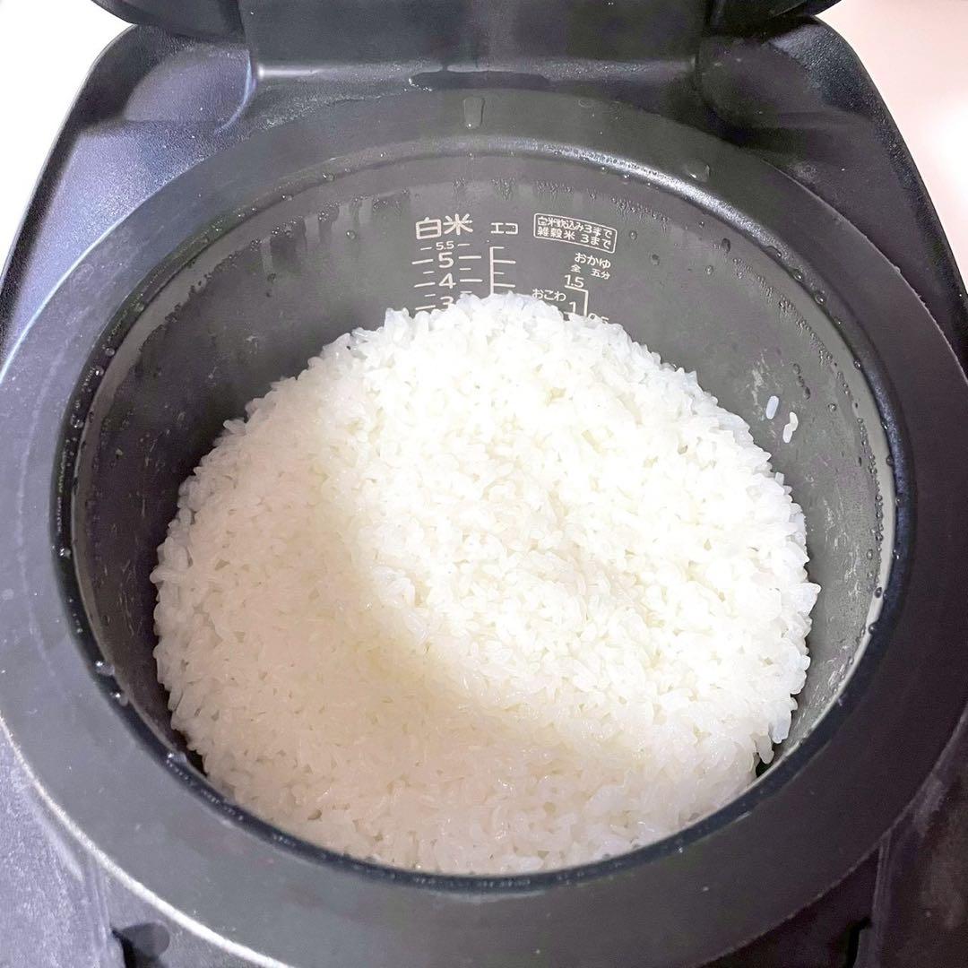 24年製　タイガー　土鍋ご泡火炊き　高級土鍋圧力IHジャー　JPH-G100